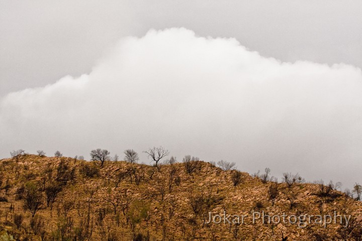 Larapinta_20080607_323 copy.jpg - Rain clouds over Rocky Gully (15mm fell)